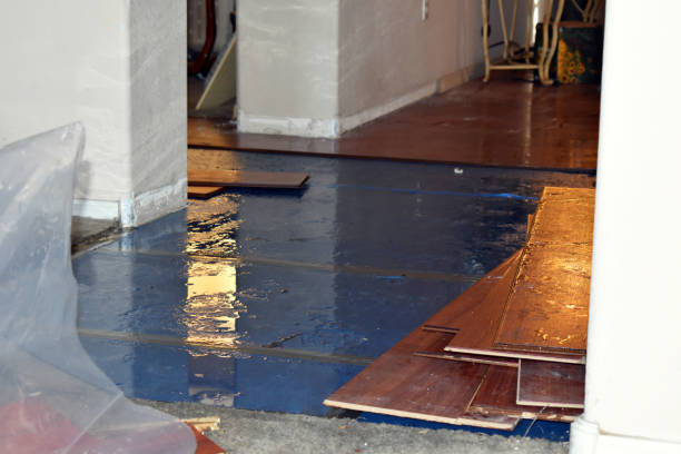 Professional Basement Flood Cleanup technician working in Fullerton, PA